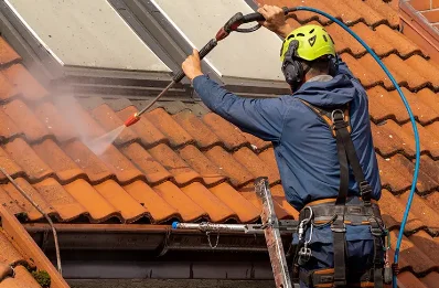 Démoussage et hydrofuge de toiture à Dognen